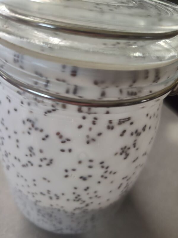 Instructions for the chia seed pudding recipe