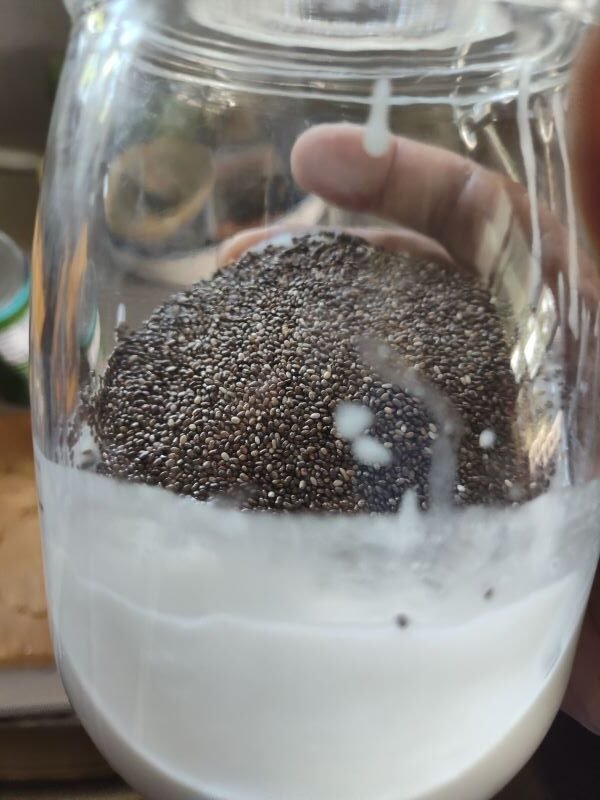 Why eat chia pudding for breakfast?