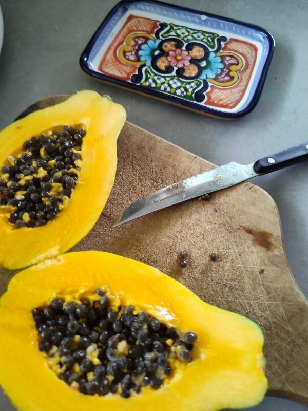 Papaya fruit for diabetics