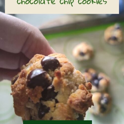 Low-carb-blueberry-chocolate-chip-cookies-