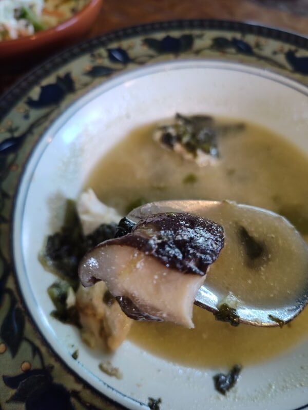 Low carb chicken and mushroom soup recipe 