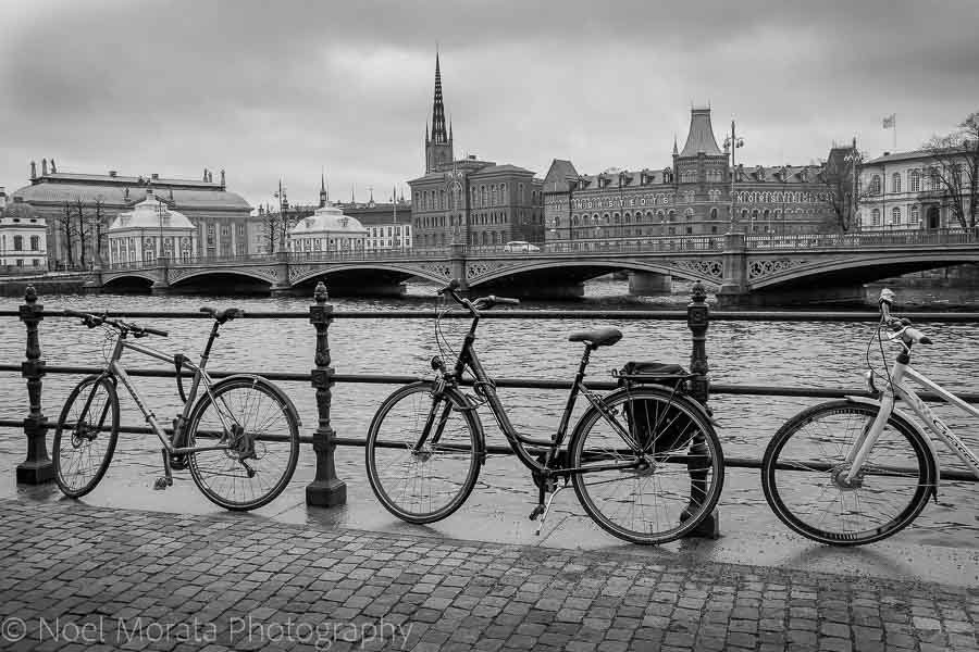 Bike around the neighborhood or someplace fun