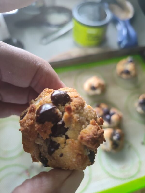 Low carb blueberry chocolate chip cookies