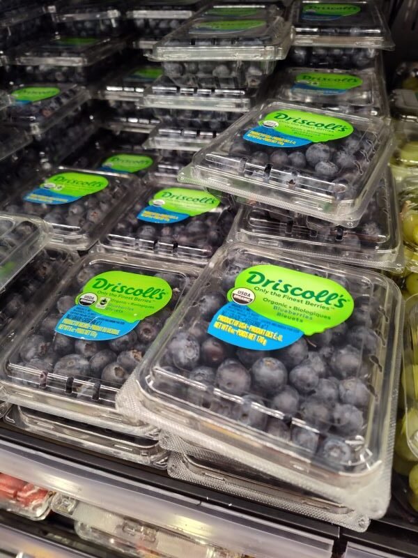 Blueberry fruits