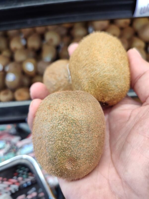 kiwi fruit